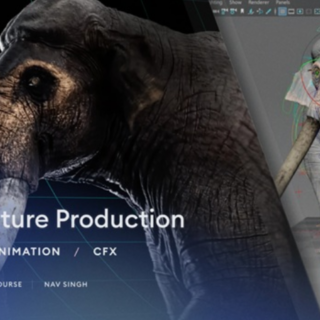 Gumroad – 3D Creature Production – Rigging, Animation and CFX
