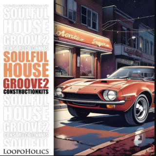 Loopoholics Soulful House Groove 2 Construction Kits