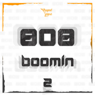 Regal Loops 808 Boomin 2