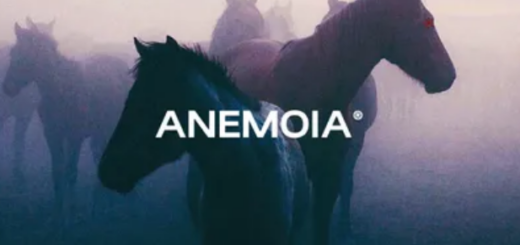 Sapjer Anemoia Soundkit