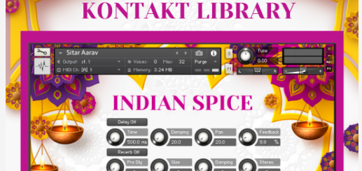 Sonic Market Indian Spice KONTAKT