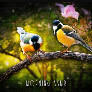Sound Effects Zone Morning ASMR Sounds Of Birds Chirping
