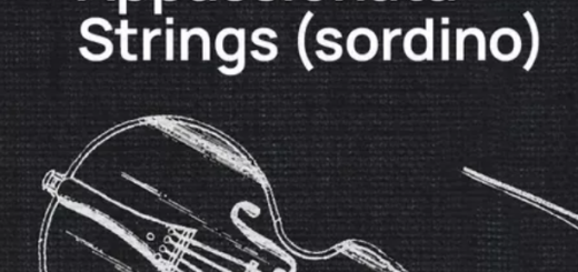 VSL Vienna Symphonic Library Studio Studio Appassionata Strings (Sordino) for Synchron Player