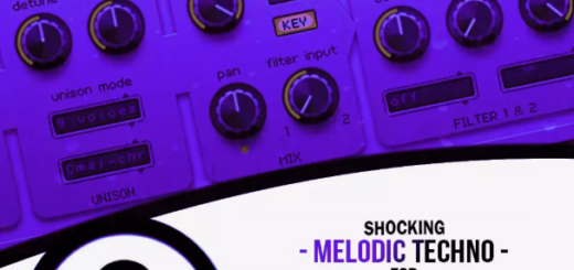 Vandalism Shocking Melodic Techno For Spire Spire